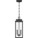 Hillside 2 Light 7 inch Textured Black Exterior Pendant