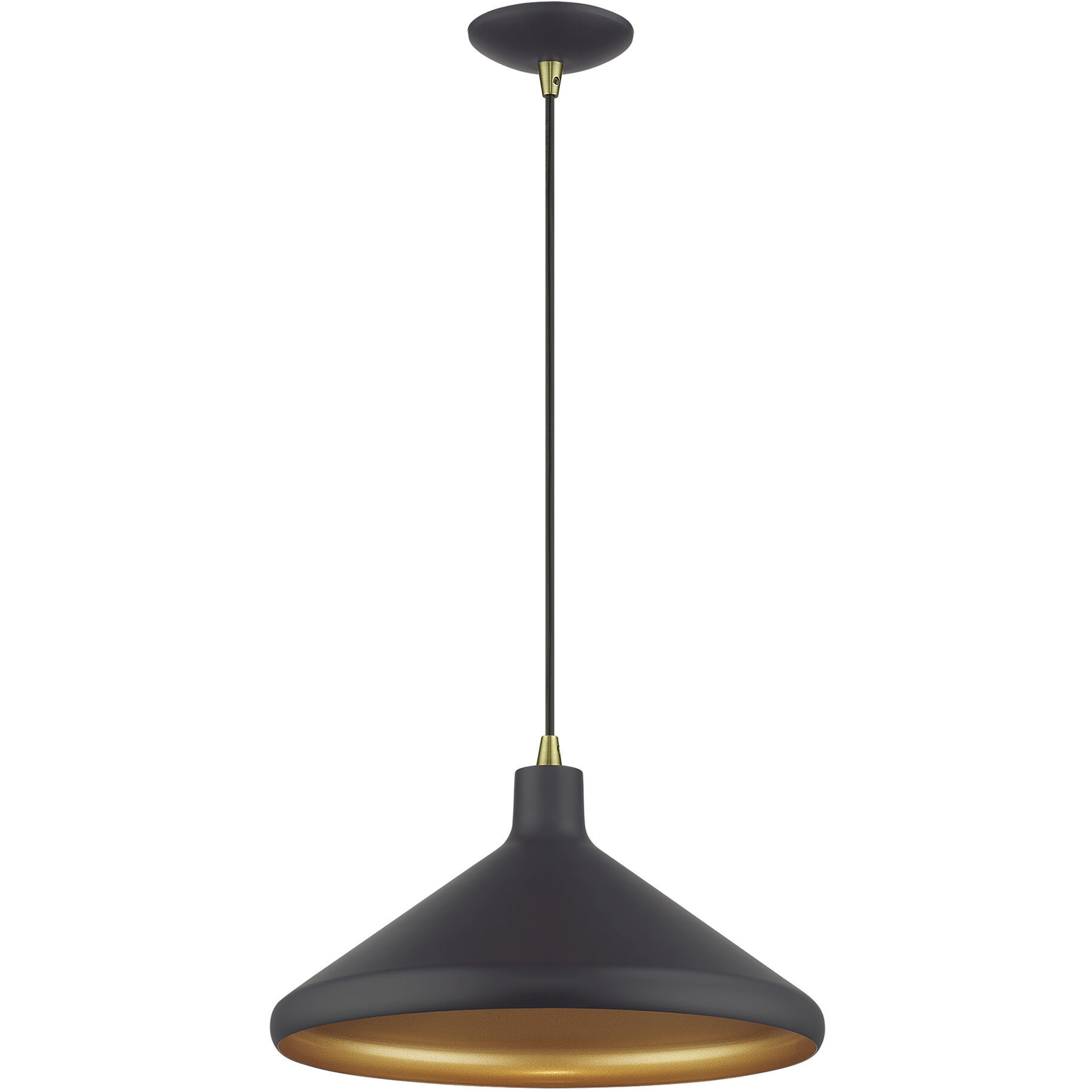 Geneva 1 Light 15.25 inch Bronze with Antique Brass Accents Pendant Ceiling Light