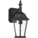 Transitional Outdoor Wall Lantern