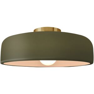 Radiance 1 Light 16 inch Matte Green and Brushed Brass Semi Flush Ceiling Light