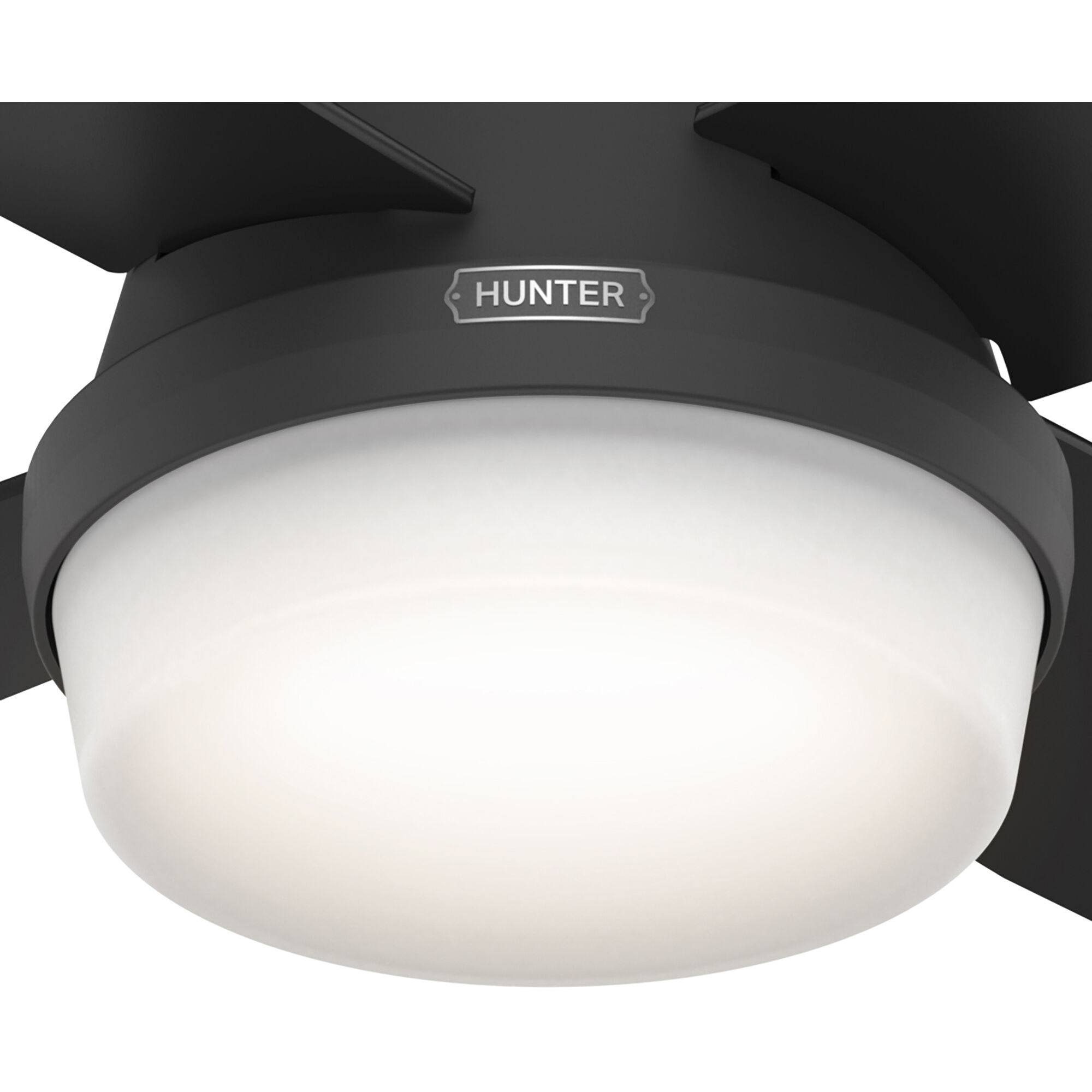 Dempsey 52 inch Matte Black with Matte Black/Dark Gray Oak Blades Ceiling Fan