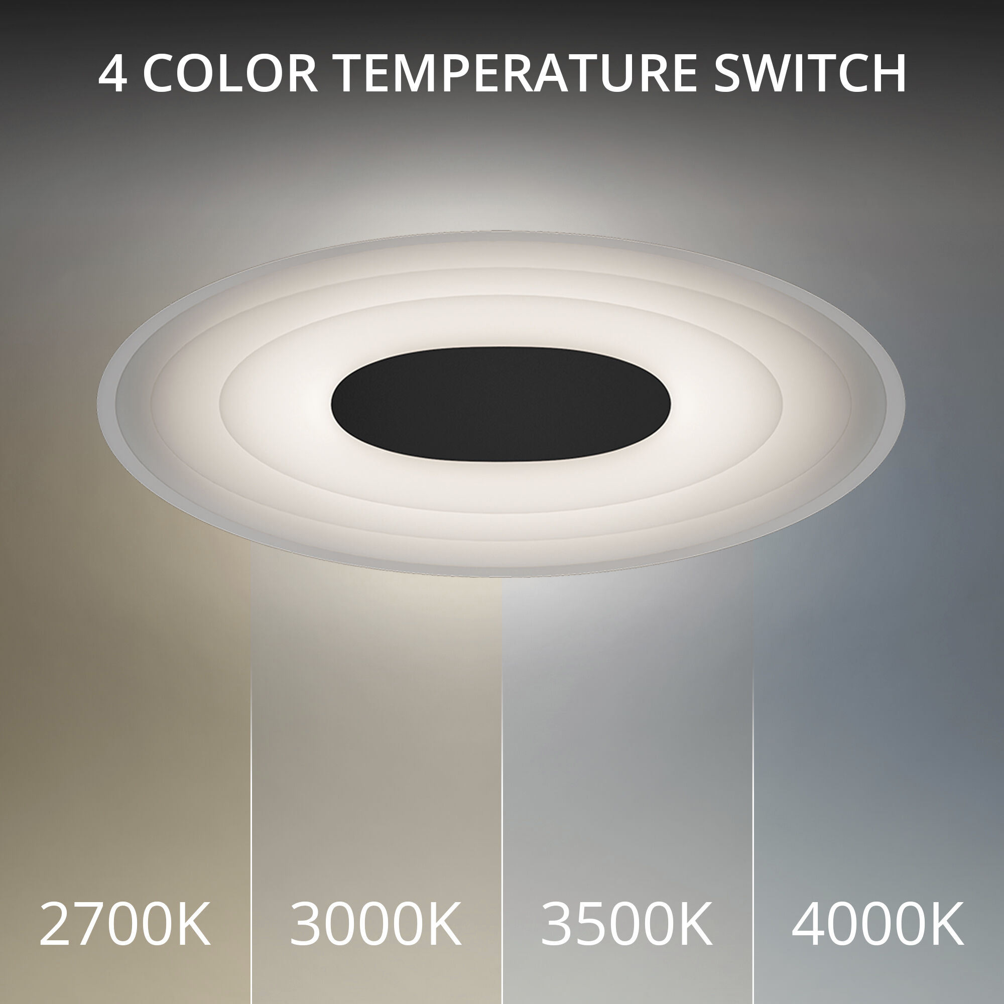 Orbix Wall Sconce Wall Light in 3500K, Black, dweLED