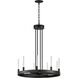 Ovation LED 24 inch Black Single-Tier Chandelier Ceiling Light