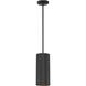 Pilson XL LED 6 inch Matte Black Pendant Ceiling Light