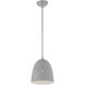 Arlington 1 Light 10 inch Nordic Gray with Brushed Nickel Accents Pendant Ceiling Light