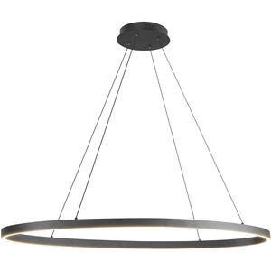 Ovale LED 15.75 inch Black Linear Pendant Ceiling Light