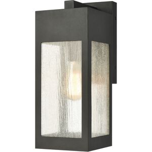 Angus 1 Light 17 inch Charcoal Outdoor Wall Sconce