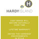Hardy Island 12v 13.00 watt Matte Bronze Landscape Well Light, Rock Guard