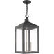 Nyack 3 Light 10.5 inch Scandinavian Gray Outdoor Pendant Lantern