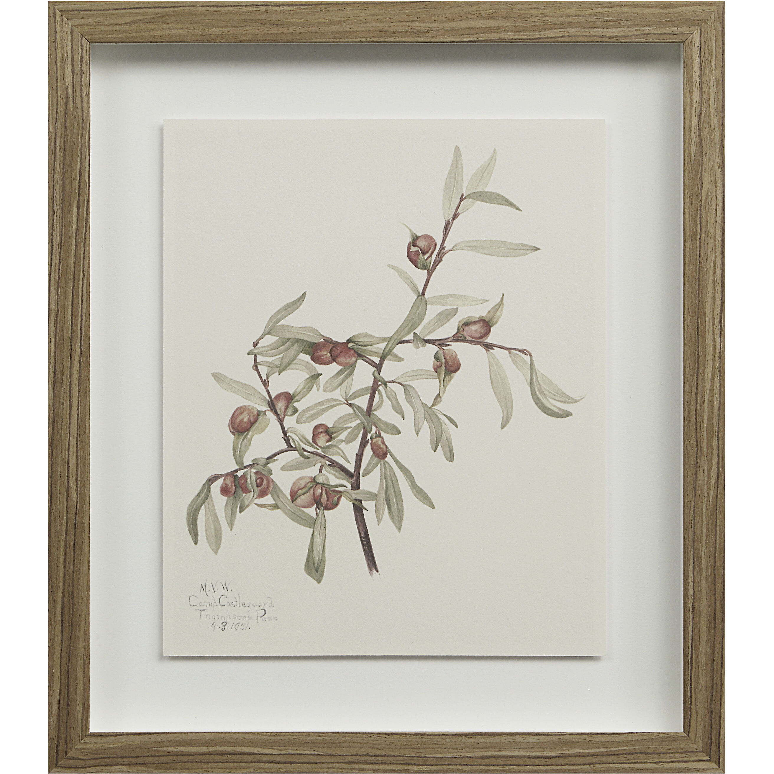 Crema 15 X 13.25 inch Printed Artworks, Set of 9