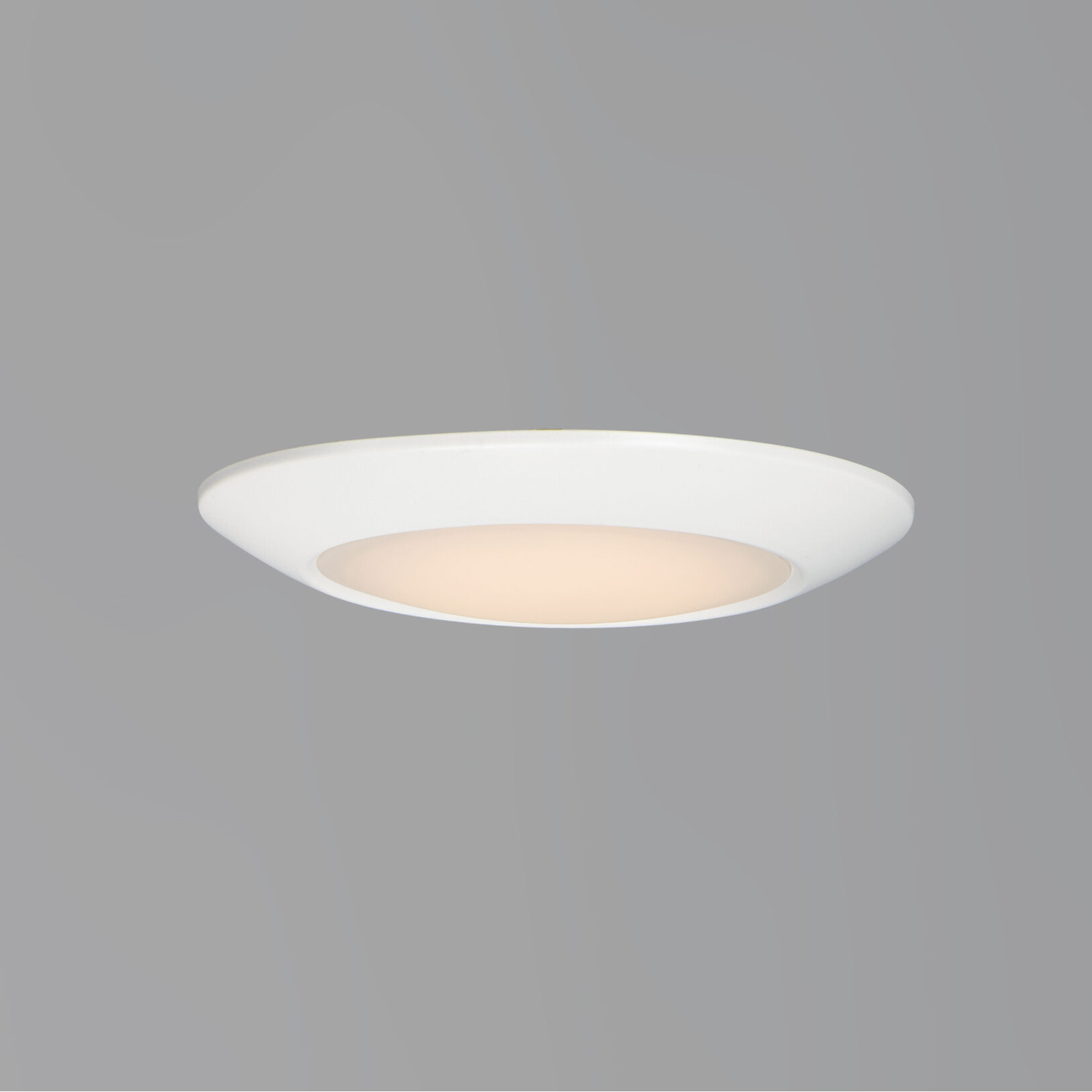 Diverse LED 6 inch White Flush Mount Ceiling Light