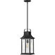 Grant LED 9 inch Textured Black Outdoor Hanging Lantern
