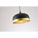 Canada 1 Light 12.9 inch Black and Gold Pendant Ceiling Light