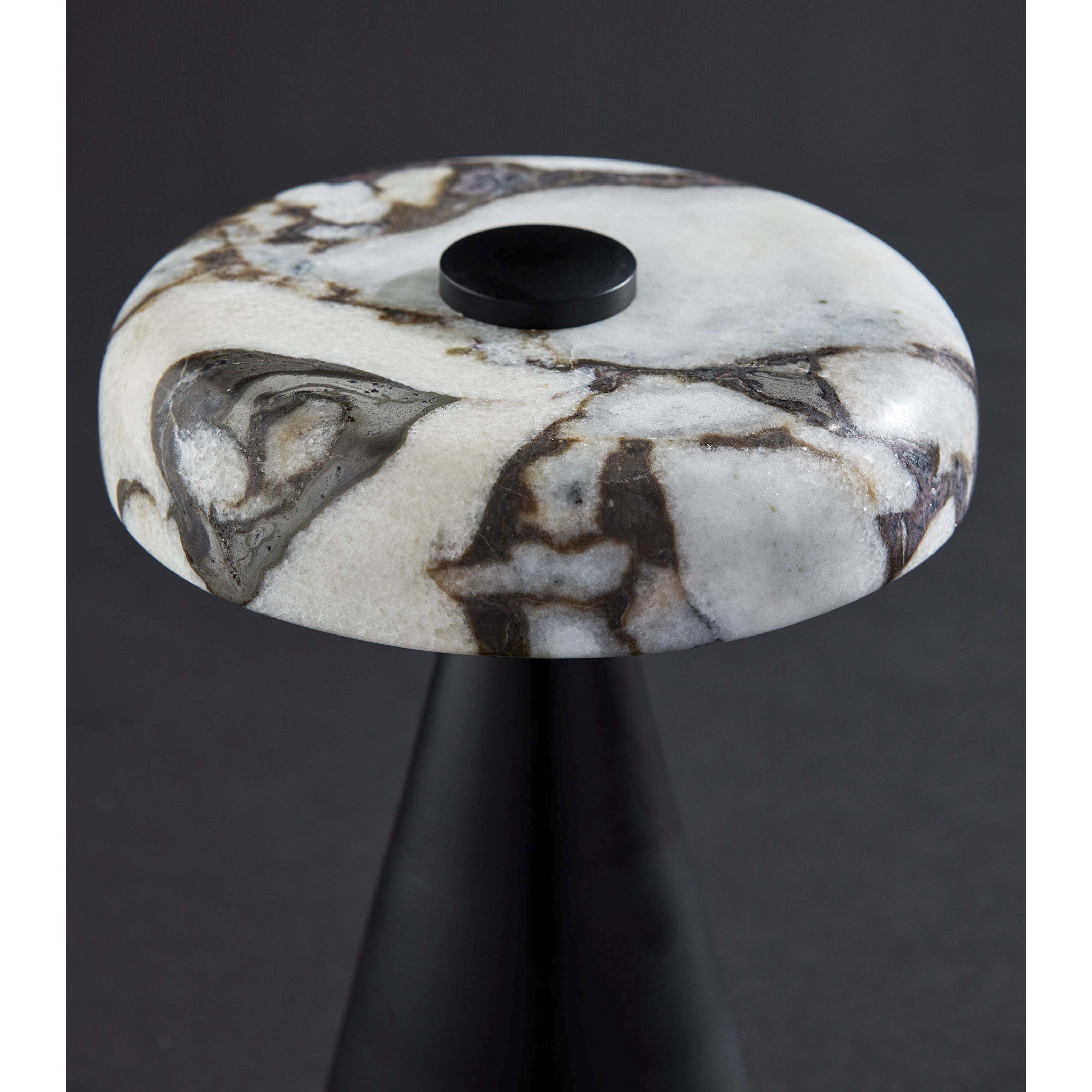 Randy 9 inch 3.00 watt Black Cordless Table Lamp Portable Light