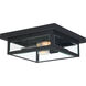 Westover 2 Light 12 inch Earth Black Flush Mount Ceiling Light