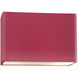 Ambiance Collection LED 6 inch Cerise Outdoor Wall Sconce