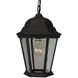 Straight Glass 1 Light 10 inch Textured Black Outdoor Pendant in Textured Matte Black, Medium