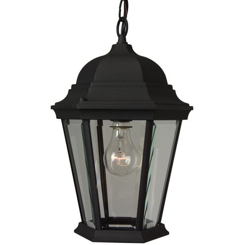 Straight Glass 1 Light 10 inch Textured Black Outdoor Pendant in Textured Matte Black, Medium