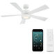 Wynd 52 inch Matte White Downrod Ceiling Fan in 3500K