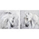 Assateague Gray Canvas Art