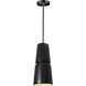 Radiance Collection 1 Light 6 inch Carbon Matte Black with Brushed Nickel Pendant Ceiling Light