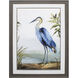 Blue Heron / Gray Heron Blue Framed Art