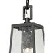 Meditterano 1 Light 5 inch Matte Black Outdoor Pendant
