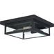 Westover 2 Light 12 inch Earth Black Flush Mount Ceiling Light