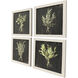 Rustic Herbs Green and Black and Neutral Framed Art, Propac