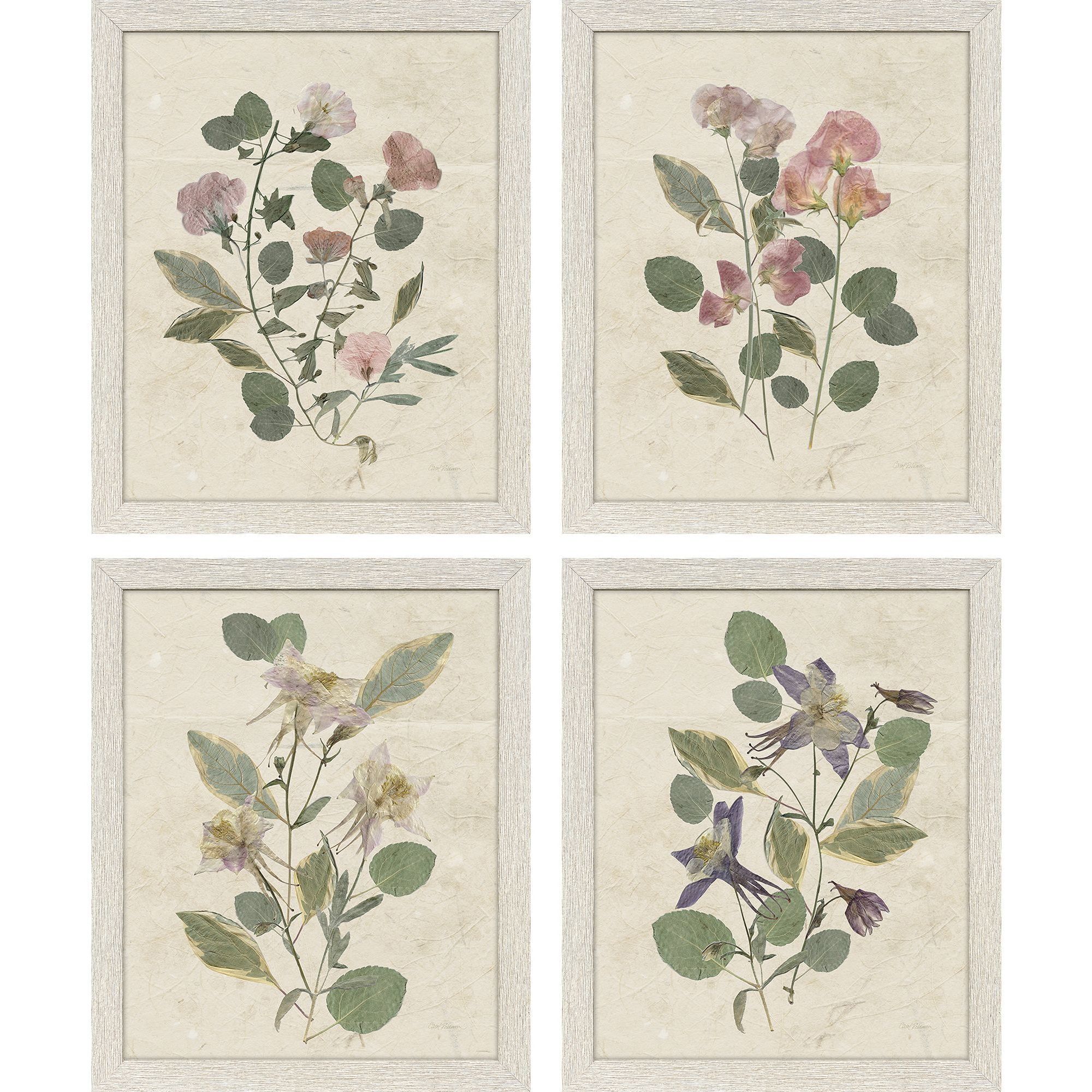 Pressed Arrangement Pink and Green and Purple and Multi Framed Art, Propac