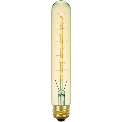 Edison Incandescent T10 E26 60 watt 120V 2040K Bulb