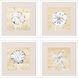 Waterside Collection Lacquered White Wood Shadow Box Style Framed Art