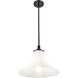 Fleur 1 Light 16 inch Matte Black Pendant Ceiling Light