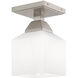 Aragon 1 Light 4.75 inch Semi-Flush Mount