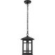 Harley 1 Light 7.5 inch Black Outdoor Pendant