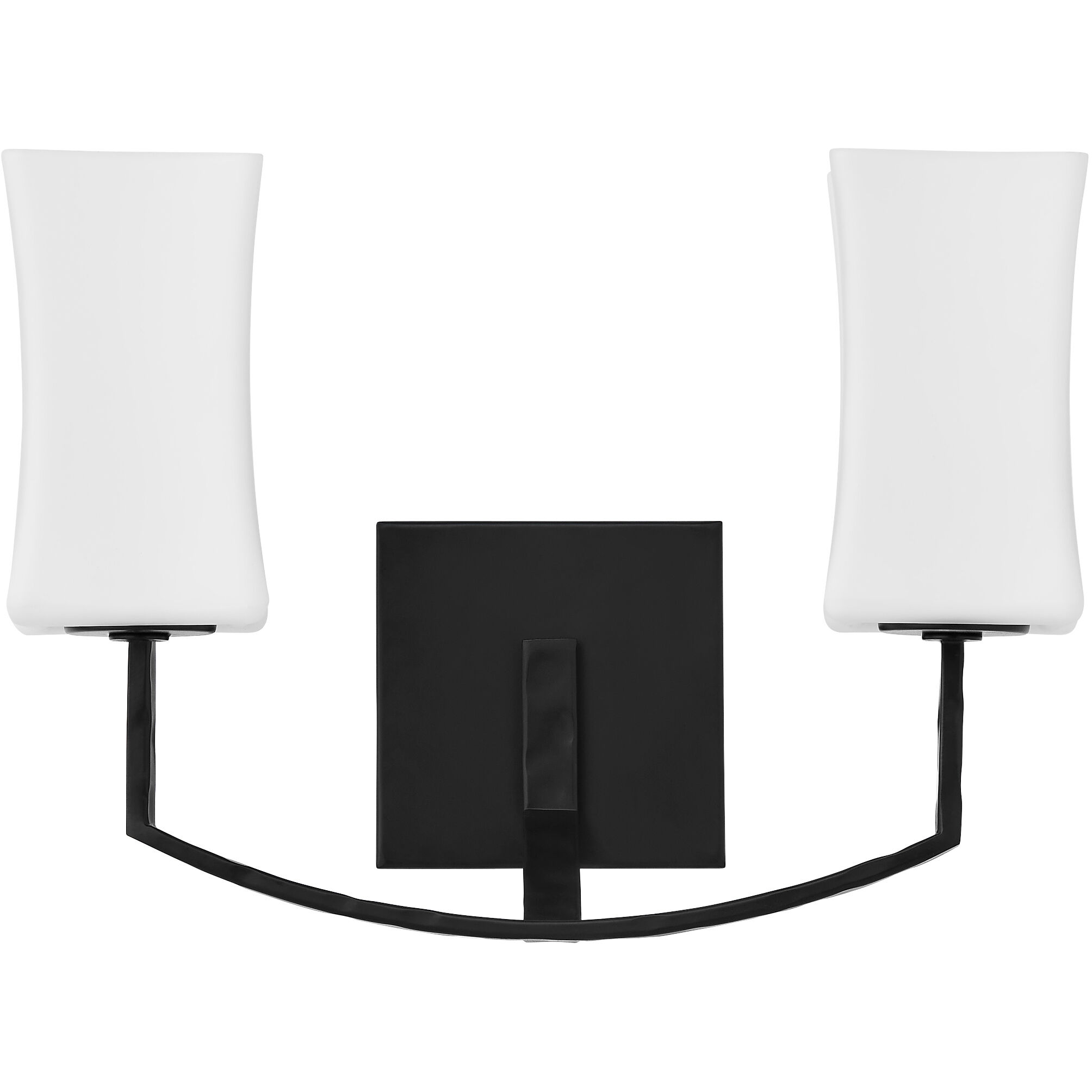 Ayala Wall Mount Wall Light in Matte Black