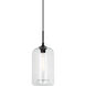 Irresistible Organic Charm 1 Light 8 inch Clear Pendant Ceiling Light