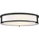 Lowell 24 inch Black Indoor Flush Mount Ceiling Light