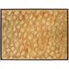 Supreme Gold with Bronze and Champagne Gold Framed Wall Art