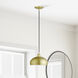 Domma 1 Light 10 inch Soft Gold with Polished Brass Accents Pendant Ceiling Light