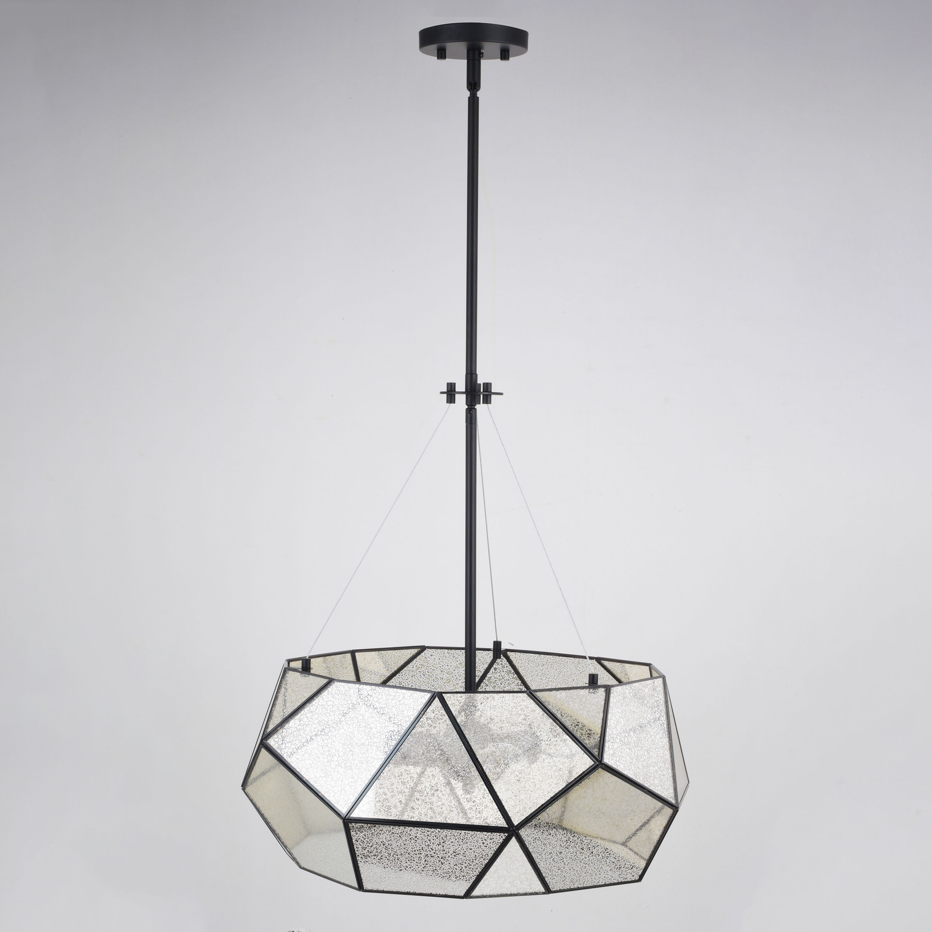 Euclid LED 20 inch Black Pendant Ceiling Light