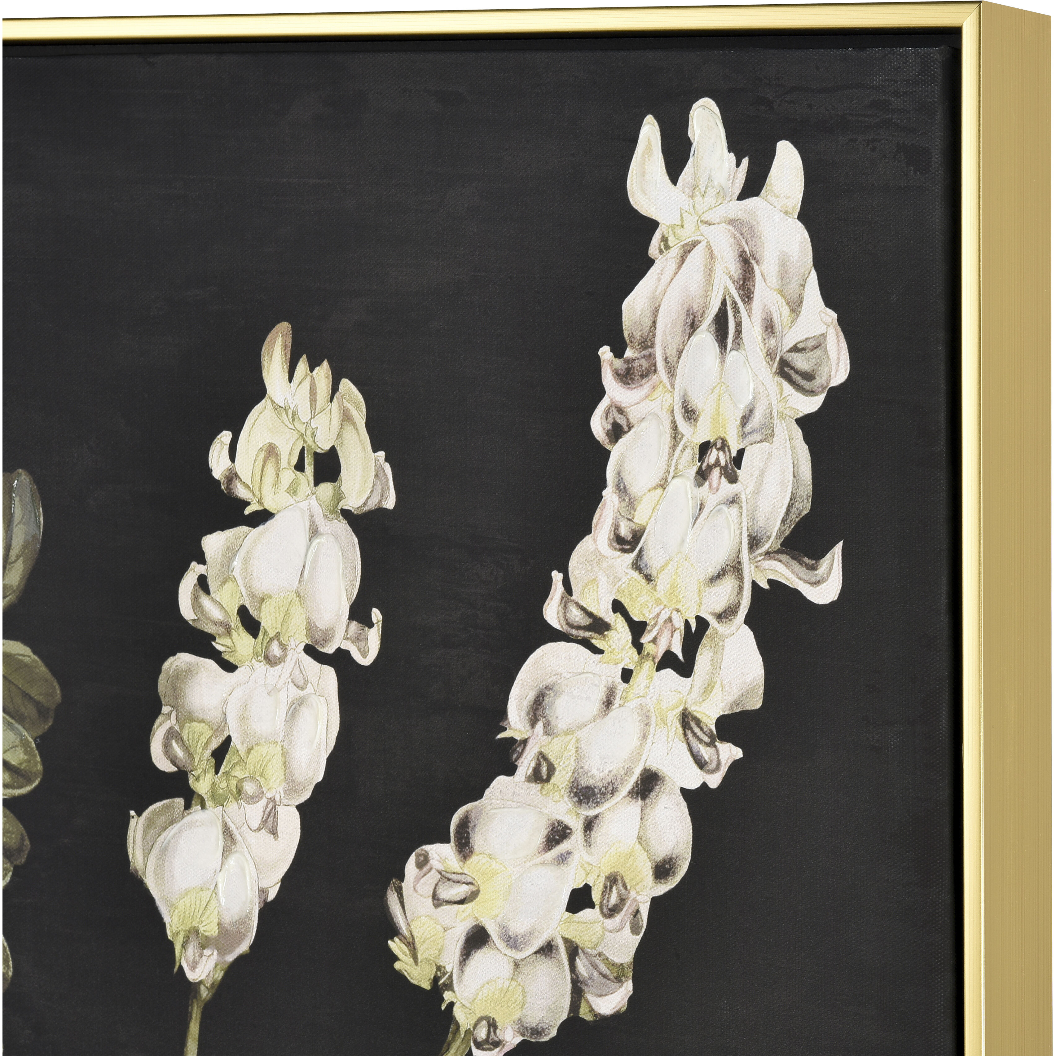 Botanical Study II Green with Black and Gold Framed Wall Art
