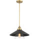 Segan 1 Light 15 inch Coal & Soft Brass (Painted) Mini Pendant Ceiling Light, Outdoor