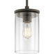 Crosby 1 Light 6 inch Olde Bronze Mini Pendant Ceiling Light