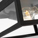 Founders 2 Light 11.5 inch Black Outdoor Flush Mount