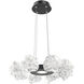 Blossom LED 23.9 inch Matte Black Chandelier Ceiling Light in 3000K LED, Radial Ring