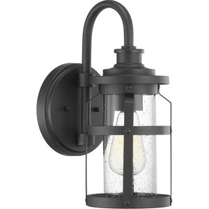 Haslett 1 Light 14 inch Textured Black Outdoor Wall Lantern, Small
