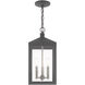 Nyack 3 Light 8 inch Scandinavian Gray Outdoor Pendant Lantern