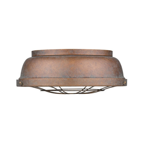 Bartlett 2 Light 14 inch Copper Patina Flush Mount Ceiling Light, Damp