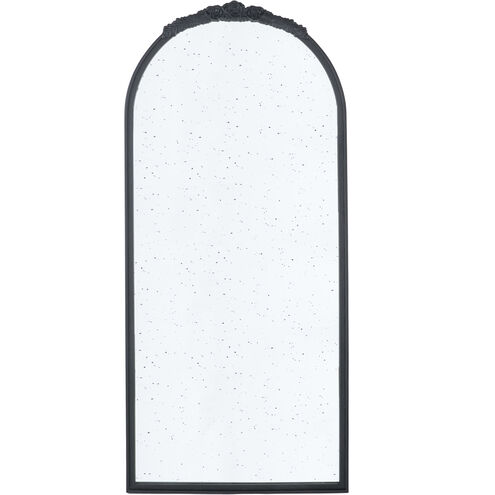Bingley 65.2 X 29.3 inch Black Wall Mirror